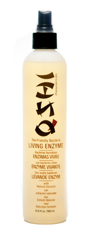 Qshi Living Enzyme Dry Shampoo